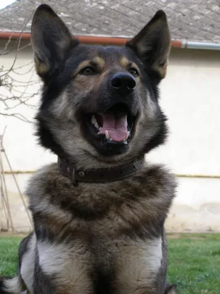 Döme