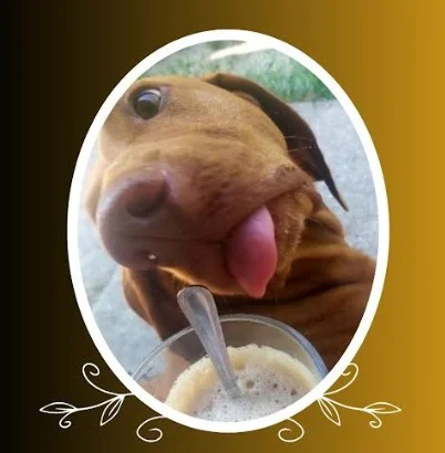 BORSÓ — emlékfotó