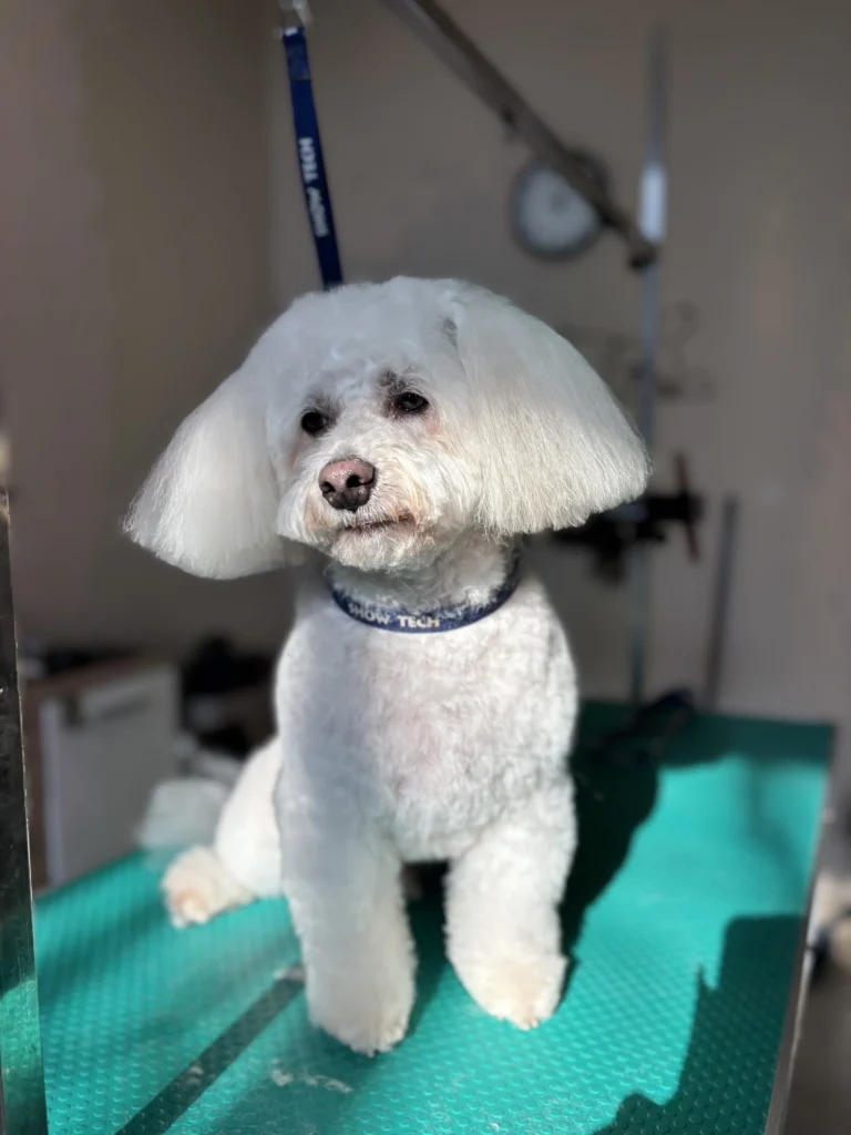 Snoopy — emlékfotó
