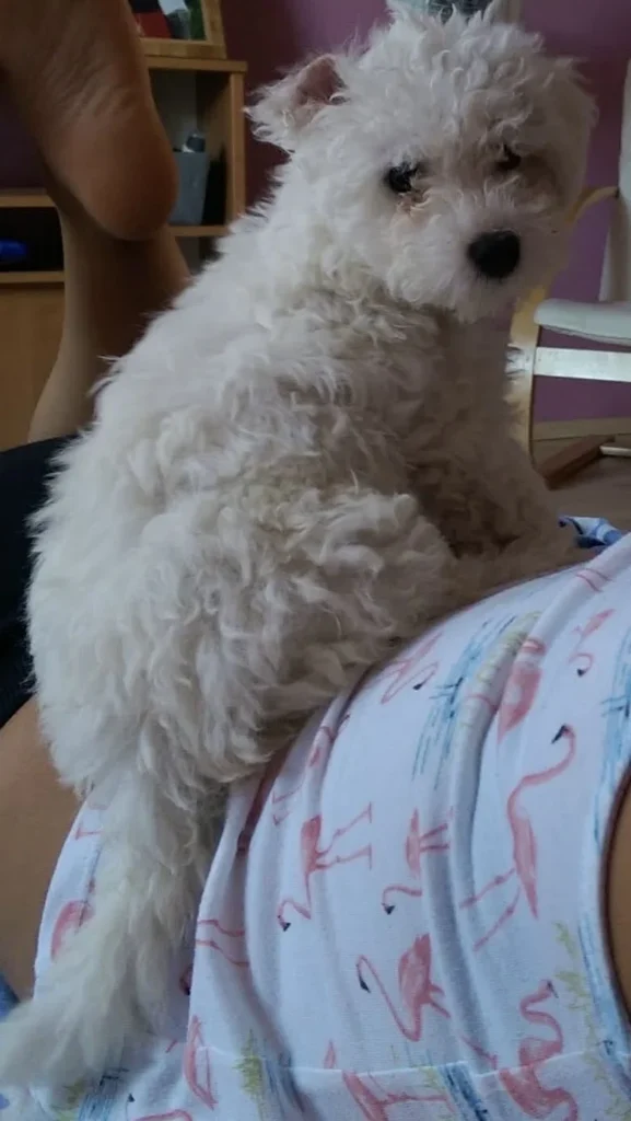 Snoopy — emlékfotó