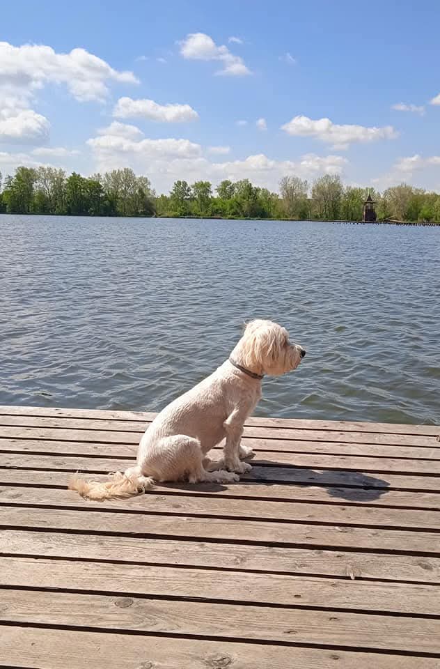 Frenki — emlékfotó