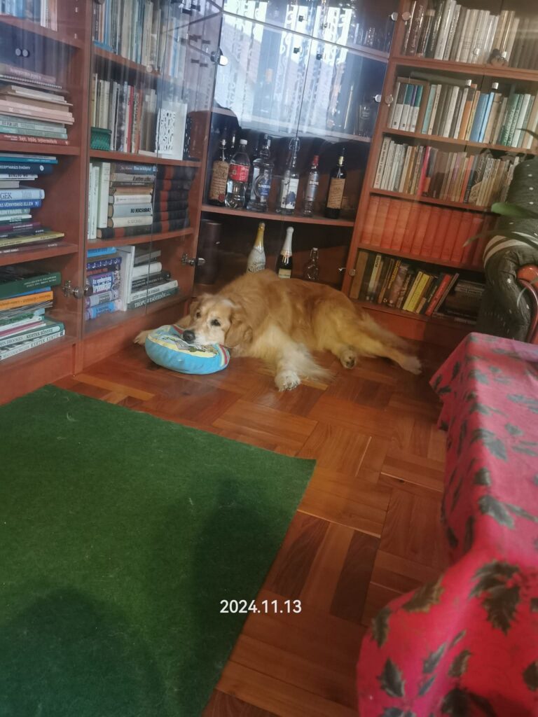 Szemi — emlékfotó